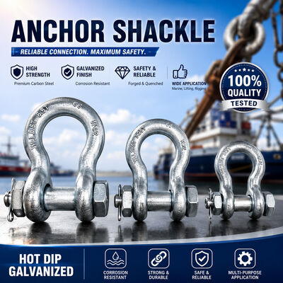 Screw Pin Anchor Shackle | High Strength Utility Fitting | Drop Forged Anchor Shackle
