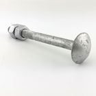 ASTM A394 Type 1 Hot Dip Galvanized Step Bolt for Tower  with two Nuts