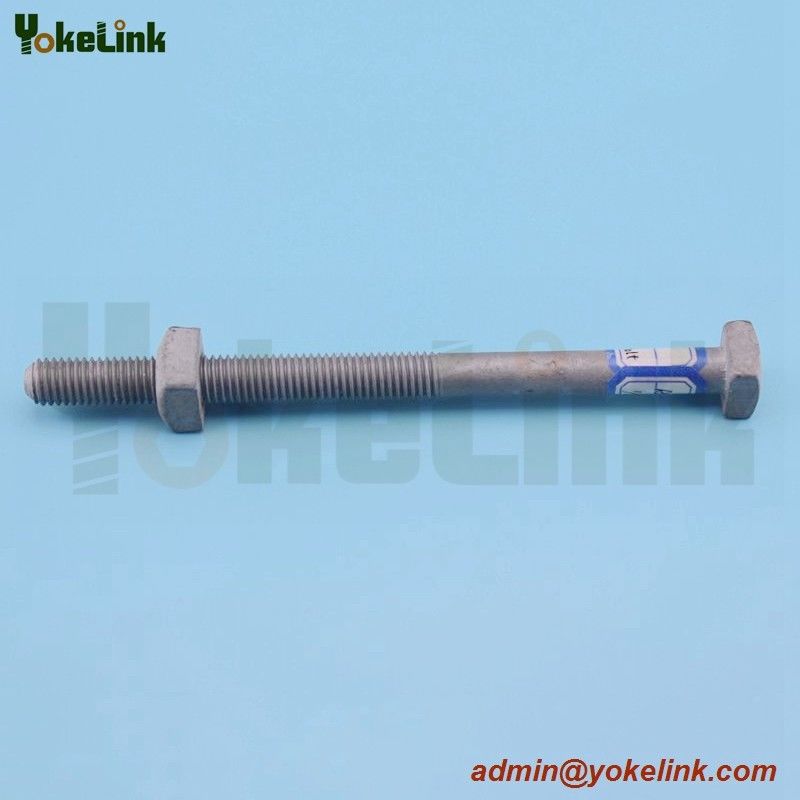 Hdg Square Head Machine Bolt With Nut